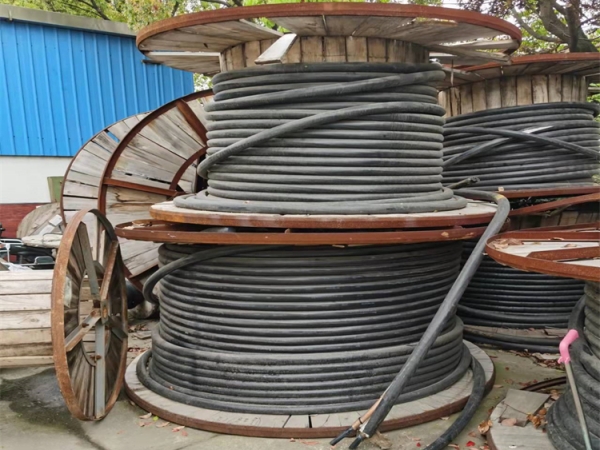 河源地区专业提供活动电缆线租赁